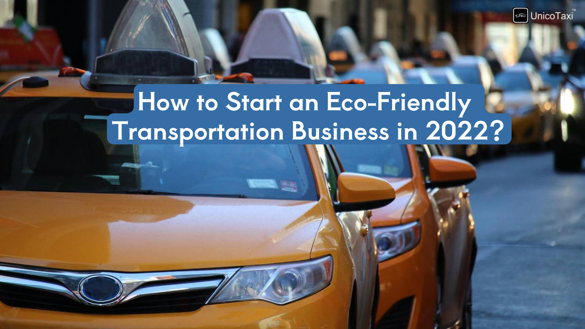 How to Start an Eco-Friendly Transportation Business in 2022?